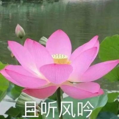 【境内疫情观察】陕西新增152例本土病例（12月26日）